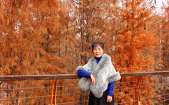 品色论坛最新地址